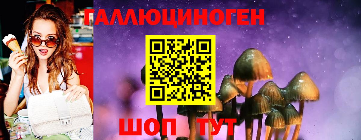 Гусев  Псилоцибиновые грибы ЛСД  Вход с VPN 